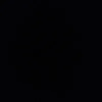 Annina Boss