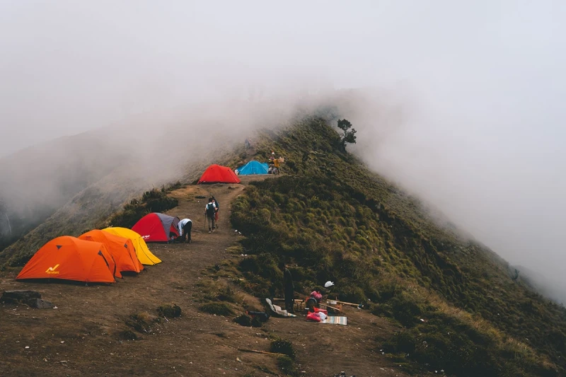Rain In Summer, What Is Happened In Lombok This Week?