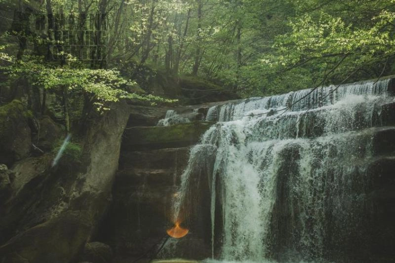 Empat Spot Air Terjun Hutan untuk Meremajakan Jiwa Anda