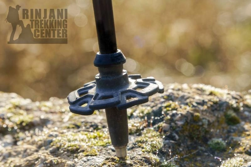 Best Hiking Poles Recommendations for Women!