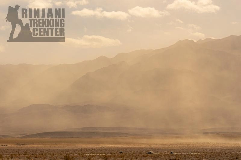 Mountain Ash: Meaning and Health Tips for Hiking