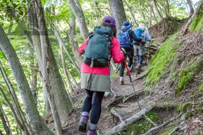 Camping in the Forest of Mount Rinjani: What to Expect