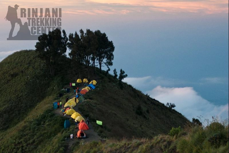 Crater Rim Sembalun Campsite