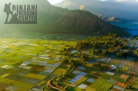 blog_bg_rinjani_trekking_center-1779362538.webp