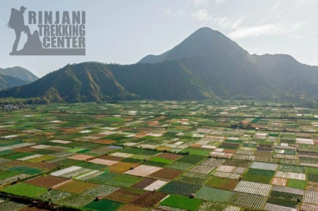 blog_bg_rinjani_trekking_center-1782991350.webp