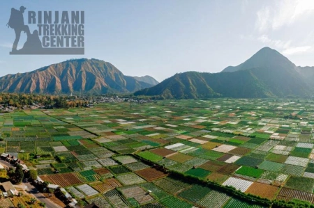 blog_bg_rinjani_trekking_center-1786010070.webp